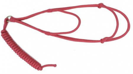 Cabresto com Argola!